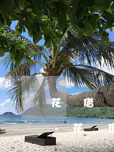 花唄借唄6萬2逾期了會(huì)上門嗎-花唄借唄6萬2逾期了會(huì)上門嗎怎么辦