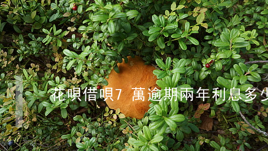 花唄借唄7萬逾期兩年利息多少-