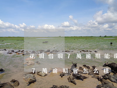 花唄借唄7萬逾期能還一部分嗎-借唄花唄7萬逾期會怎么樣
