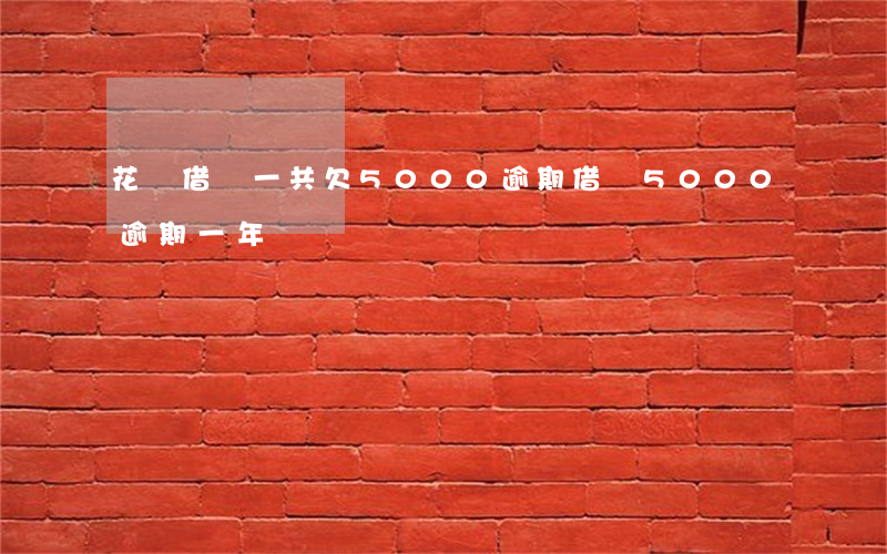 花唄借唄一共欠5000逾期(借唄5000逾期一年)
