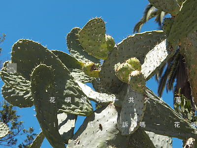 花唄借唄一共欠6萬(wàn)多會(huì)被起訴嗎-花唄借唄共計(jì)6萬(wàn),逾期還不上會(huì)怎么樣