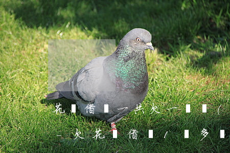 花唄借唄一共欠一萬會(huì)被起訴嗎-欠花唄借唄1萬多無力償還會(huì)有什么后果