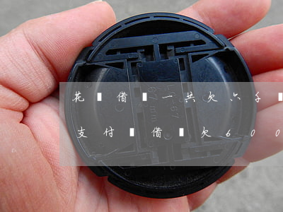花唄借唄一共欠六千會(huì)被起訴嗎(支付寶借唄欠6000多會(huì)被起訴坐牢?)