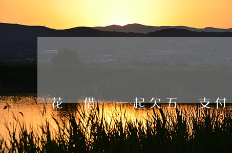 花唄借唄一起欠五萬(支付寶借唄欠5萬)