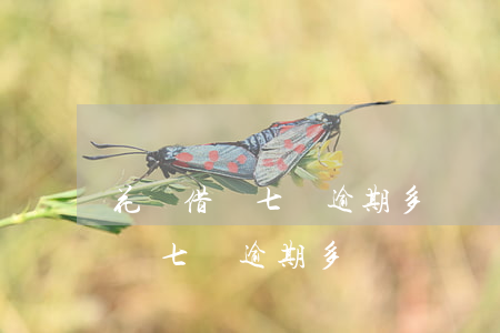 花唄借唄七萬逾期多長時間會起訴-花唄借唄七萬逾期多長時間會起訴我