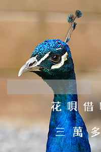 花唄借唄三萬多逾期上門怎么辦-花唄借唄三萬多逾期上門怎么辦呢