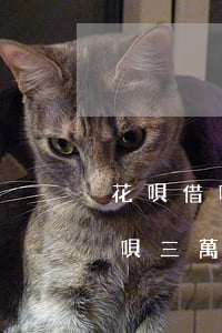 花唄借唄三萬逾期兩年要還多少錢-花唄借唄三萬逾期兩年要還多少錢呢