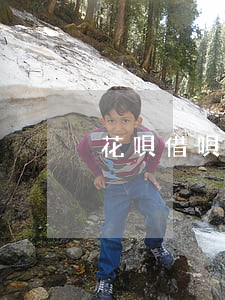 花唄借唄停息掛賬（借唄停息掛賬怎么收費）