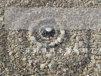花唄借唄全面逾期了(支付寶花唄借唄都逾期了)