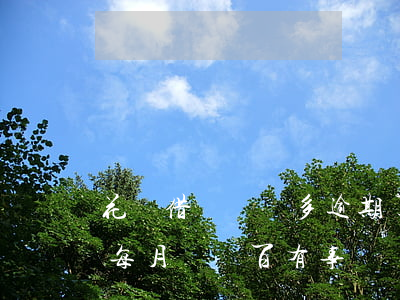 花唄借唄兩萬多逾期了(花唄借唄逾期兩萬多每月還幾百有事嗎)