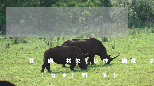 花唄借唄共欠1W咋辦(借花唄20000,每個(gè)月還多少?)