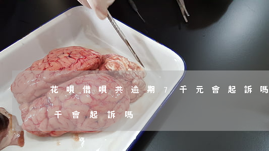 花唄借唄共逾期7千元會起訴嗎(借唄逾期七千會起訴嗎)