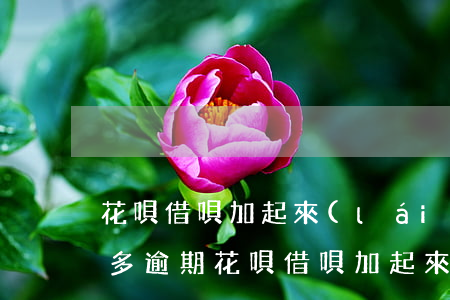 花唄借唄加起來(lái)二萬(wàn)多逾期(花唄借唄加起來(lái)5萬(wàn),逾期了170天現(xiàn)在怎么辦)