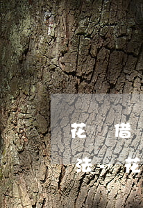 花唄借唄協(xié)商停息掛賬的正確方法-花唄借唄協(xié)商能成功嗎
