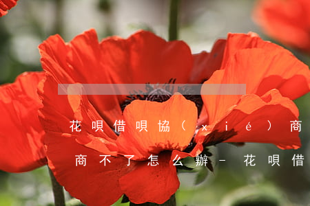 花唄借唄協(xié)商還款協(xié)商不了怎么辦-花唄借唄協(xié)商還款協(xié)商不了怎么辦呢