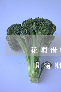 花唄借唄同時逾期一個月影響大嗎-借唄花唄逾期1個多月通知我還款會爆嗎?