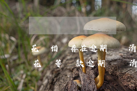 花唄借唄存在逾期請結清后再試-存在借唄花唄等貸款逾期請結清后再試