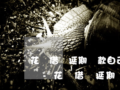 花唄借唄延期還款自己可以協(xié)商嗎-花唄借唄延期還款自己可以協(xié)商嗎多久