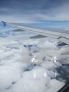 花唄借唄怎么還款才能免手續(xù)費(fèi)-