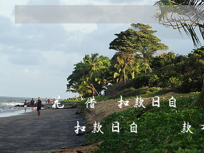 花唄借唄扣款日自動還款有利息嗎-花唄借唄扣款日自動還款有利息嗎是真的嗎