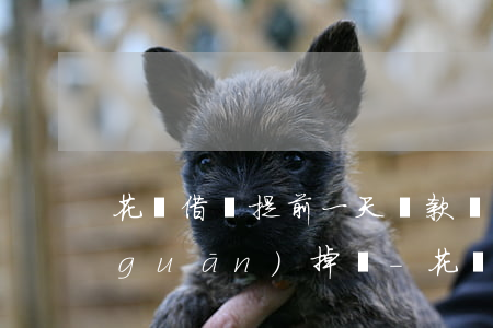 花唄借唄提前一天還款會(huì)被關(guān)掉嗎-花唄借唄提前還款會(huì)被關(guān)閉嗎