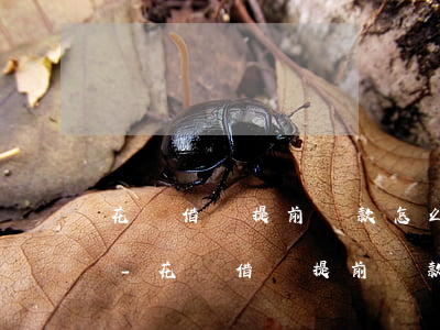 花唄借唄提前還款怎么沒(méi)額度了-花唄借唄提前還款怎么沒(méi)額度了呢