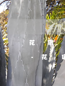 花唄借唄提前還款還會(huì)有利息嗎-花唄借唄提前還款還會(huì)有利息嗎多少