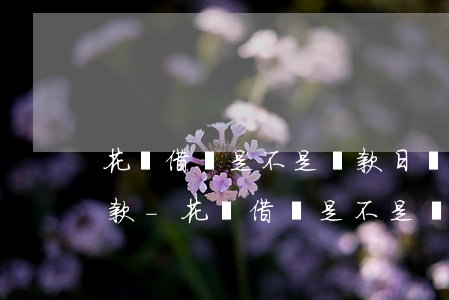 花唄借唄是不是還款日當(dāng)天扣款-花唄借唄是不是還款日當(dāng)天扣款的