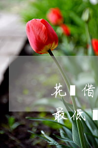 花唄借唄最低還款還不起怎么辦-花唄借唄最低還款還不起怎么辦呢