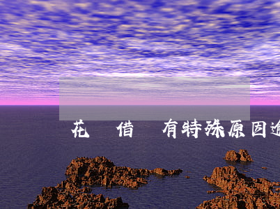 花唄借唄有特殊原因逾期