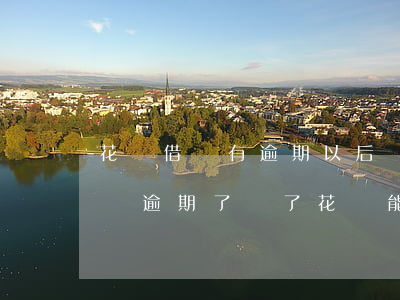 花唄借唄有逾期以后還能再開放嗎-花唄借唄逾期了還了,花唄能借錢嗎