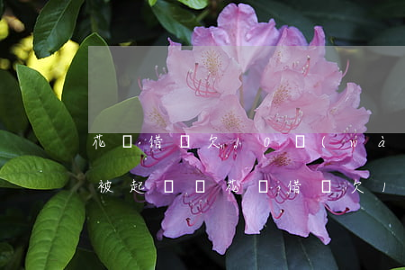 花唄借唄欠10萬(wàn)會(huì)被起訴嗎(花唄借唄欠12萬(wàn)逾期了被起訴會(huì)坐牢嗎)