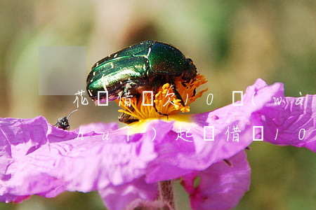 花唄借唄欠10萬(wàn)逾期多久會(huì)起訴(借唄10萬(wàn)逾期多少天會(huì)起訴)