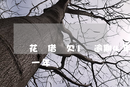 花唄借唄欠1萬逾期4年(借唄5000逾期一年)