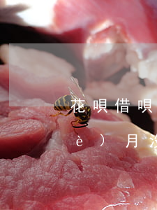 花唄借唄欠2個(gè)月啦(借唄兩個(gè)月沒還了)