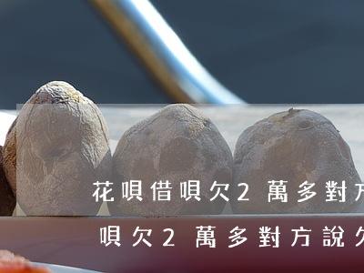 花唄借唄欠2萬多對方說欠了6萬-花唄借唄欠2萬多對方說欠了6萬怎么辦