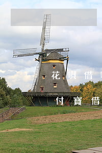 花唄借唄欠3萬親身經(jīng)歷(欠支付寶借唄3萬花唄9000元沒還)
