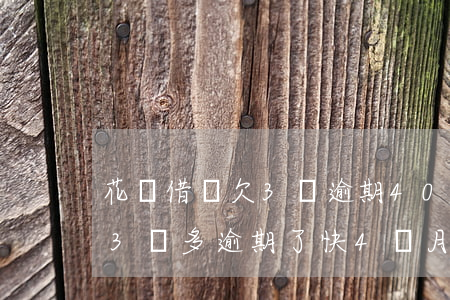 花唄借唄欠3萬逾期400多天(花唄借唄欠3萬多逾期了快4個月會被起訴坐牢嗎?)