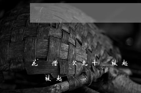 花唄借唄欠九千會被起訴嗎(花唄借唄欠九千會被起訴嗎)