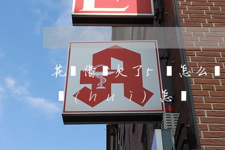 花唄借唄欠了5萬怎么辦(借唄欠了5萬不還會(huì)怎樣)