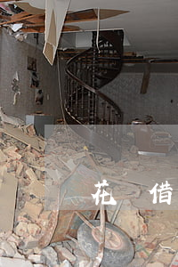 花唄借唄欠了一年(借唄欠了兩年)