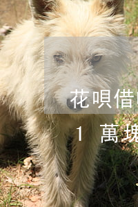 花唄借唄欠了一萬多沒錢還怎么辦(借唄欠了1萬塊沒錢還怎么辦)