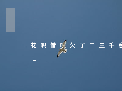 花唄借唄欠了二三千會(huì)被起訴嗎-