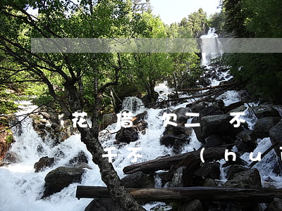 花唄借唄欠二萬不還會(huì)怎樣(借唄兩千不還會(huì)怎樣)