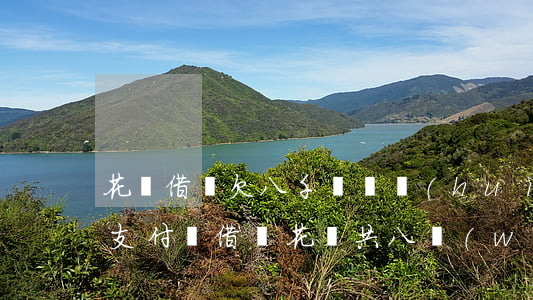 花唄借唄欠八千塊錢會(huì)坐牢嗎(欠支付寶借唄花唄共八萬(wàn)多要坐幾年牢)