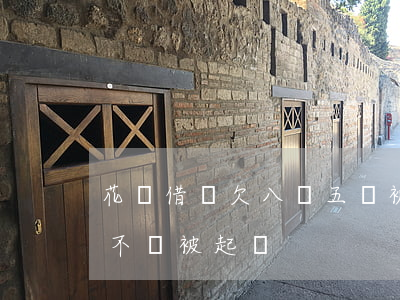 花唄借唄欠八萬五會被起訴嗎(欠借唄8萬會不會被起訴)