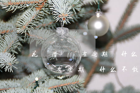 花唄借唄沒有逾期為什么不能使用-花唄借唄沒有逾期為什么不能使用了