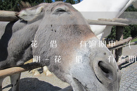 花唄借唄沒有逾期申請(qǐng)免息延期-花唄借唄沒有逾期申請(qǐng)免息延期還款