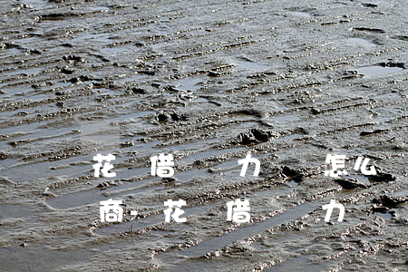 花唄借唄無力償還怎么辦怎么協(xié)商-花唄借唄無力償還,教你幾個(gè)解決辦法