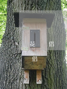 花唄借唄無力償還是否可以只還本金-花唄借唄無力償還是否可以只還本金不還本息